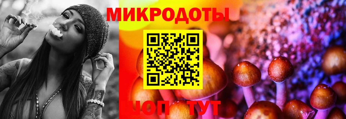 Псилоцибиновые грибы GOLDEN TEACHER  Вход с VPN  даркнет сайт  Реж 