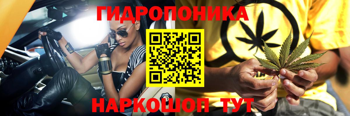 Шишки марихуана гибрид  Вход с VPN  Бошки Шишки OG Kush  Канабис гибрид  Реж 